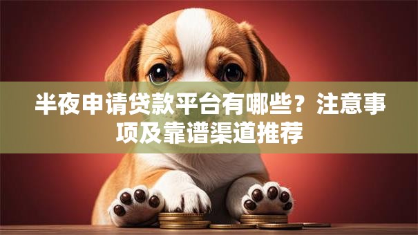 半夜申请贷款平台有哪些？注意事项及靠谱渠道推荐
