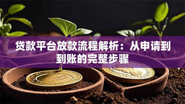 贷款平台放款流程解析：从申请到到账的完整步骤