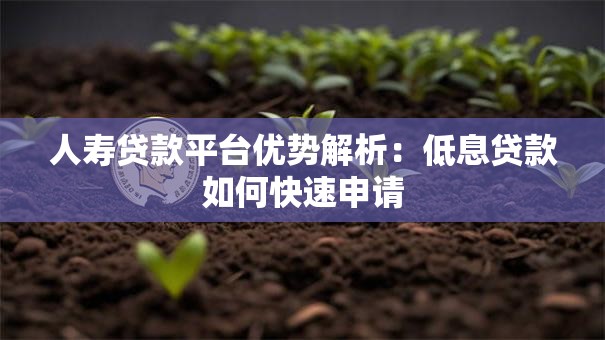 人寿贷款平台优势解析:低息贷款如何快速申请 人寿贷款平台优势解析:低息贷款如何快速申请