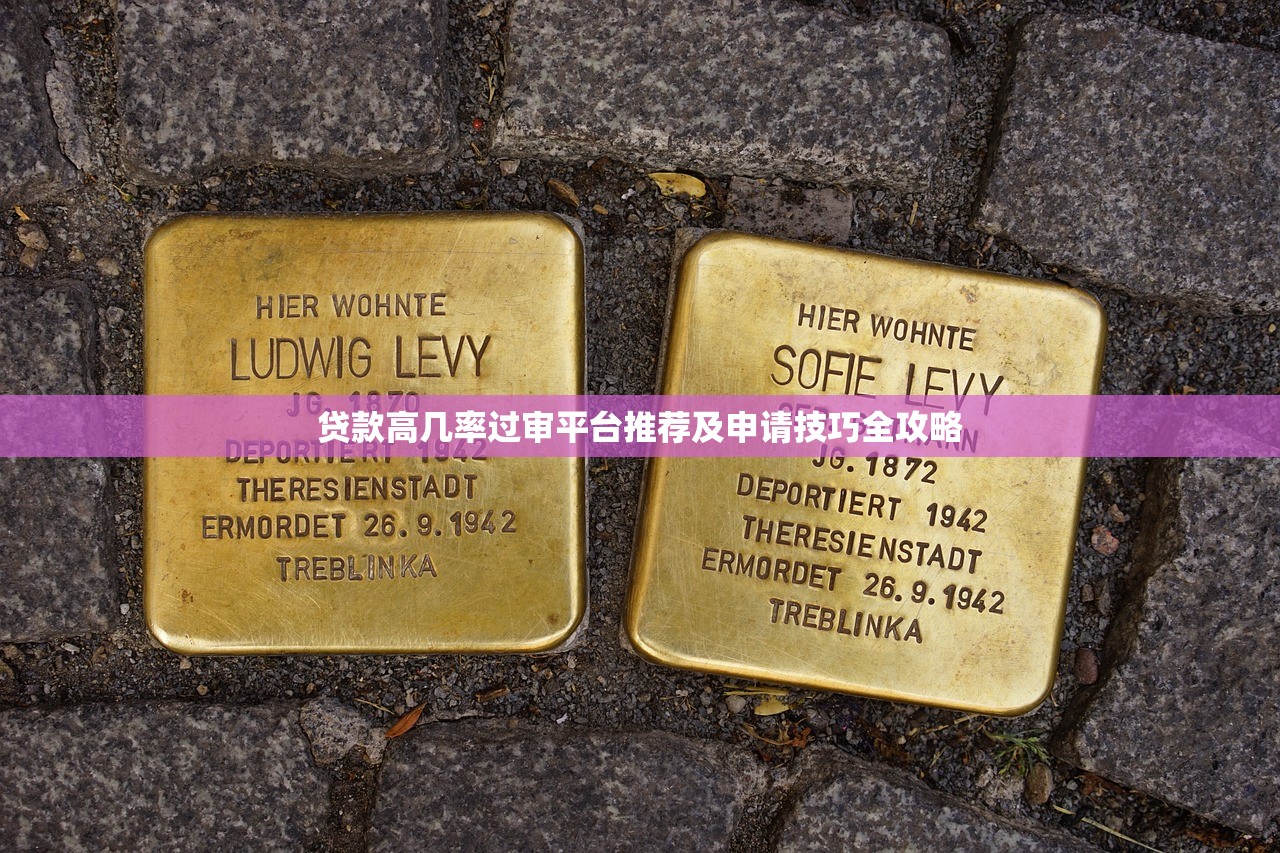 贷款高几率过审平台推荐及申请技巧全攻略