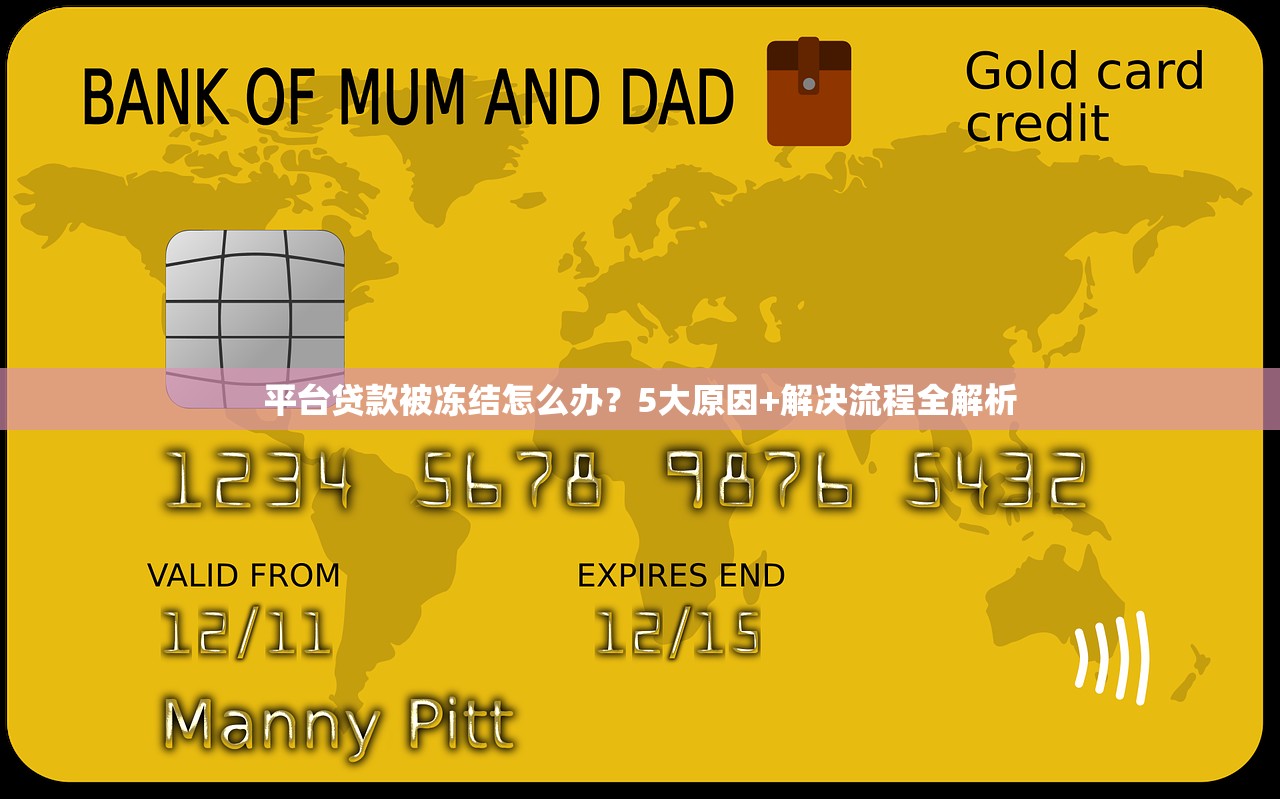 平台贷款被冻结怎么办？5大原因+解决流程全解析