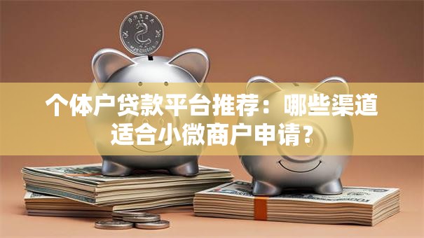 个体户贷款平台推荐：哪些渠道适合小微商户申请？