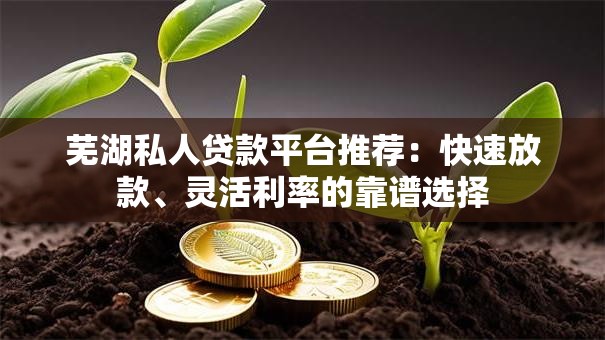 芜湖私人贷款平台推荐:快速放款、灵活利率的靠谱选择 芜湖私人贷款平台推荐:快速放款、灵活利率的靠谱选择