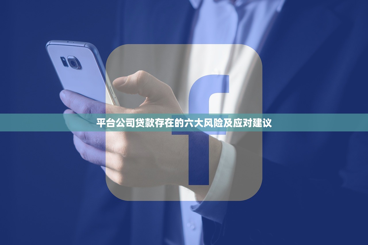 平台公司贷款存在的六大风险及应对建议