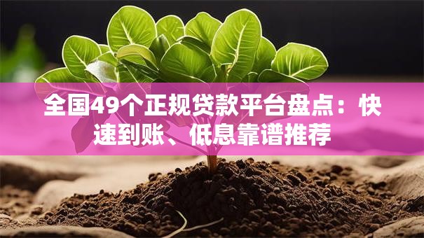 全国49个正规贷款平台盘点：快速到账、低息靠谱推荐