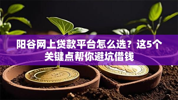阳谷网上贷款平台怎么选？这5个关键点帮你避坑借钱
