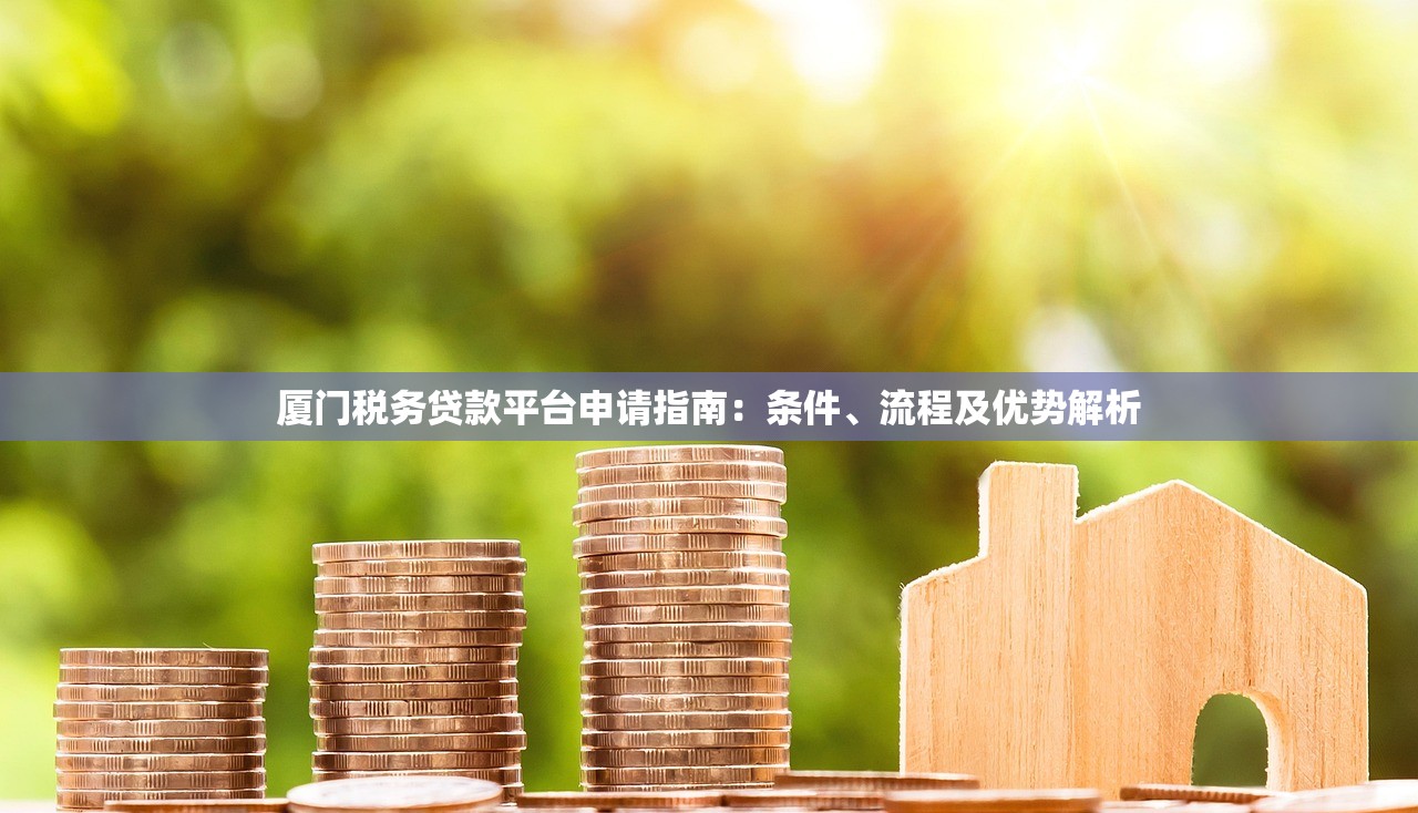 厦门税务贷款平台申请指南：条件、流程及优势解析