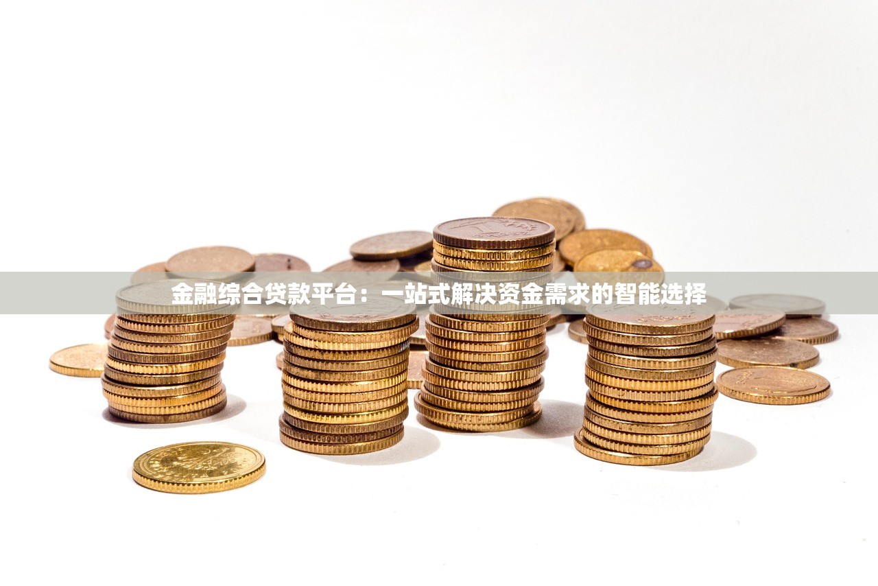 金融综合贷款平台：一站式解决资金需求的智能选择