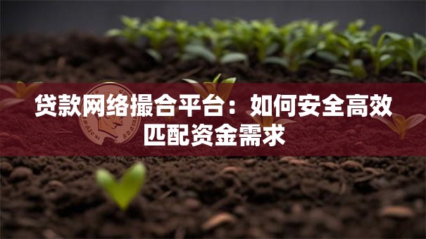 贷款网络撮合平台：如何安全高效匹配资金需求