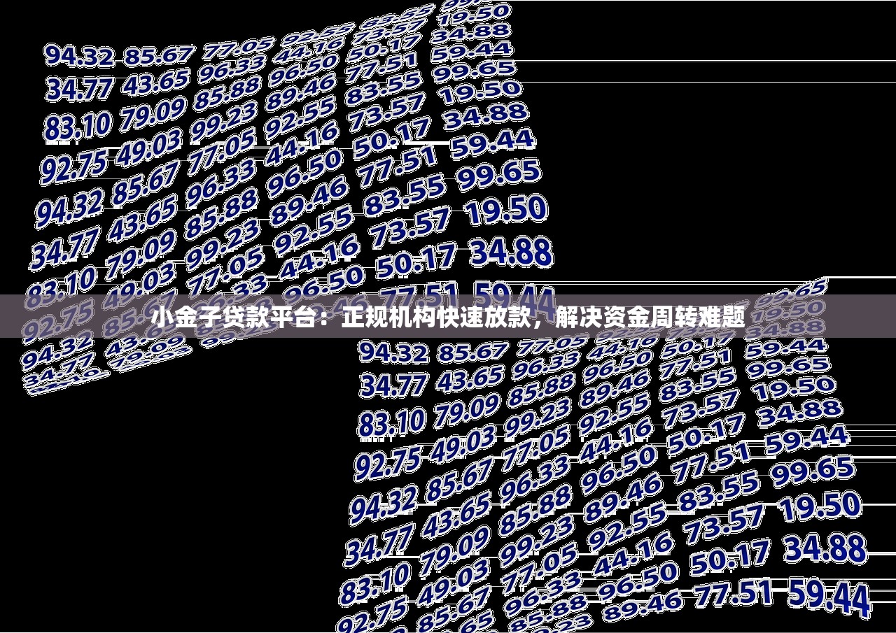 小金子贷款平台：正规机构快速放款，解决资金周转难题