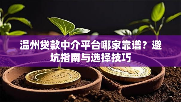 温州贷款中介平台哪家靠谱？避坑指南与选择技巧