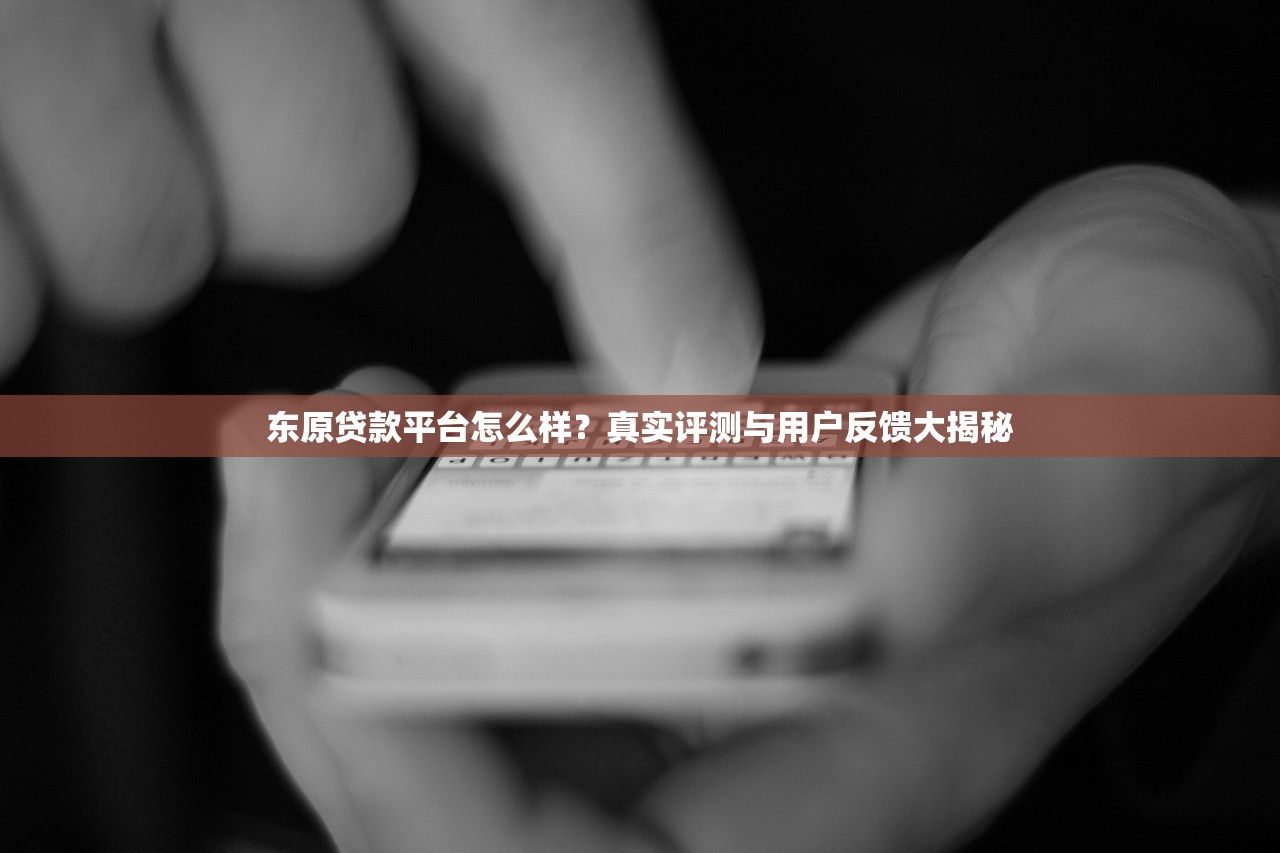 东原贷款平台怎么样？真实评测与用户反馈大揭秘