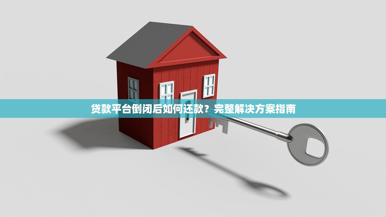 贷款平台倒闭后如何还款？完整解决方案指南