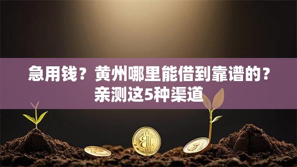 急用钱？黄州哪里能借到靠谱的？亲测这5种渠道
