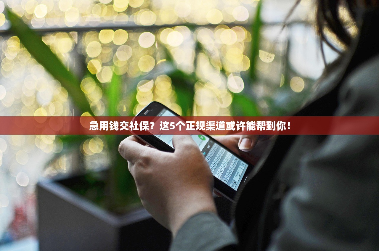 急用钱交社保？这5个正规渠道或许能帮到你！