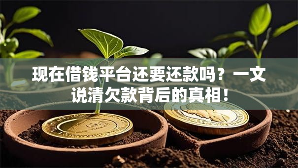现在借钱平台还要还款吗?一文说清欠款背后的真相! 现在借钱平台还要还款吗?一文说清欠款背后的真相!