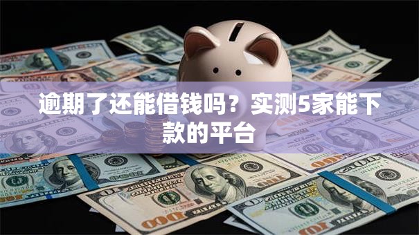 逾期了还能借钱吗？实测5家能下款的平台