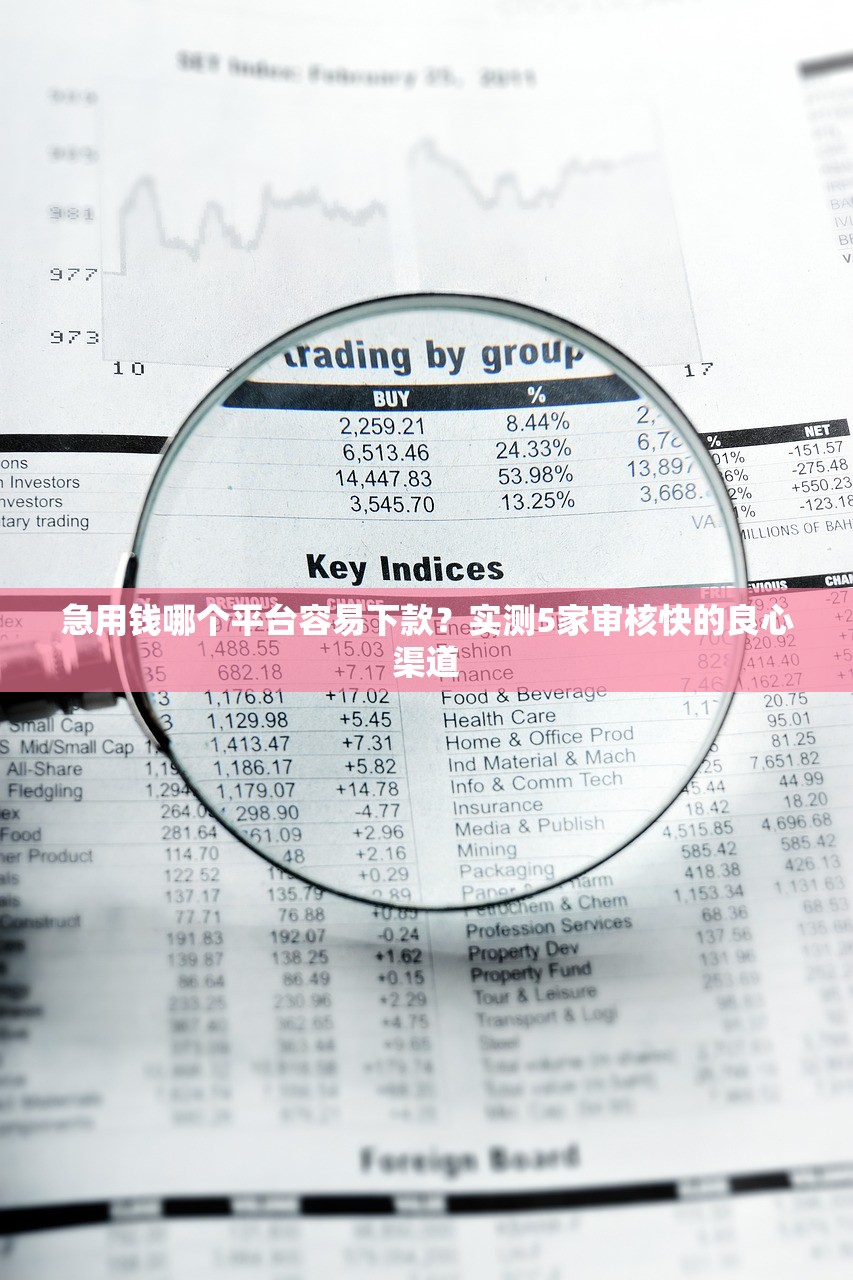 急用钱哪个平台容易下款？实测5家审核快的良心渠道