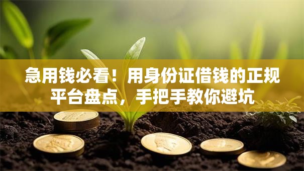 急用钱必看！用身份证借钱的正规平台盘点，手把手教你避坑
