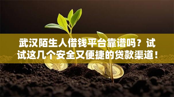 武汉陌生人借钱平台靠谱吗？试试这几个安全又便捷的贷款渠道！