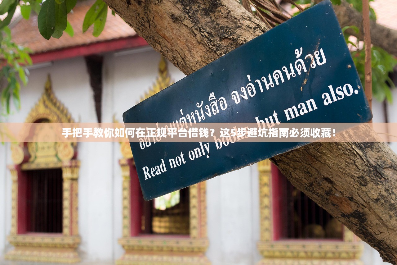 手把手教你如何在正规平台借钱？这5步避坑指南必须收藏！