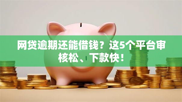 网贷逾期还能借钱？这5个平台审核松、下款快！