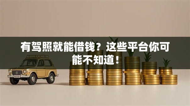 有驾照就能借钱？这些平台你可能不知道！
