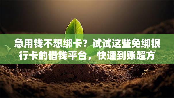 急用钱不想绑卡？试试这些免绑银行卡的借钱平台，快速到账超方便！