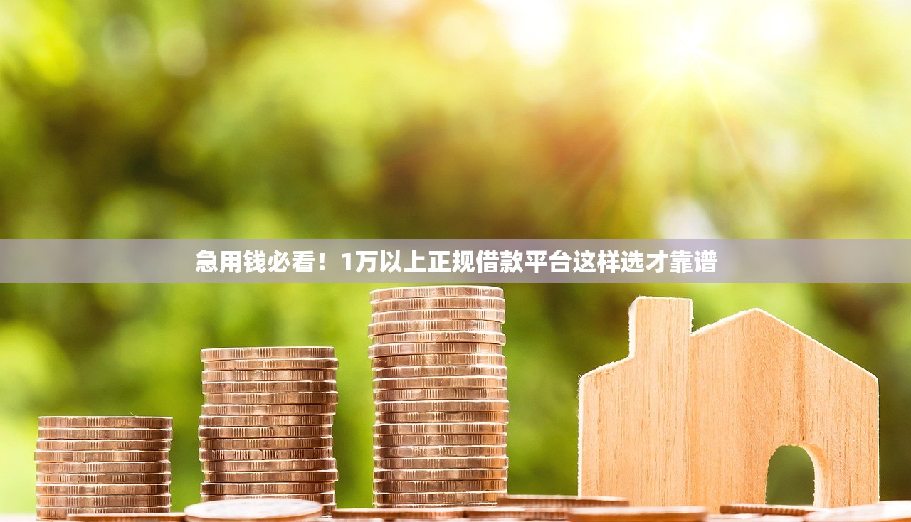 急用钱必看！1万以上正规借款平台这样选才靠谱