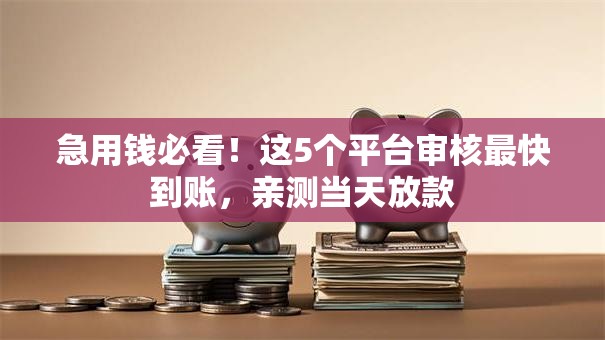 急用钱必看！这5个平台审核最快到账，亲测当天放款