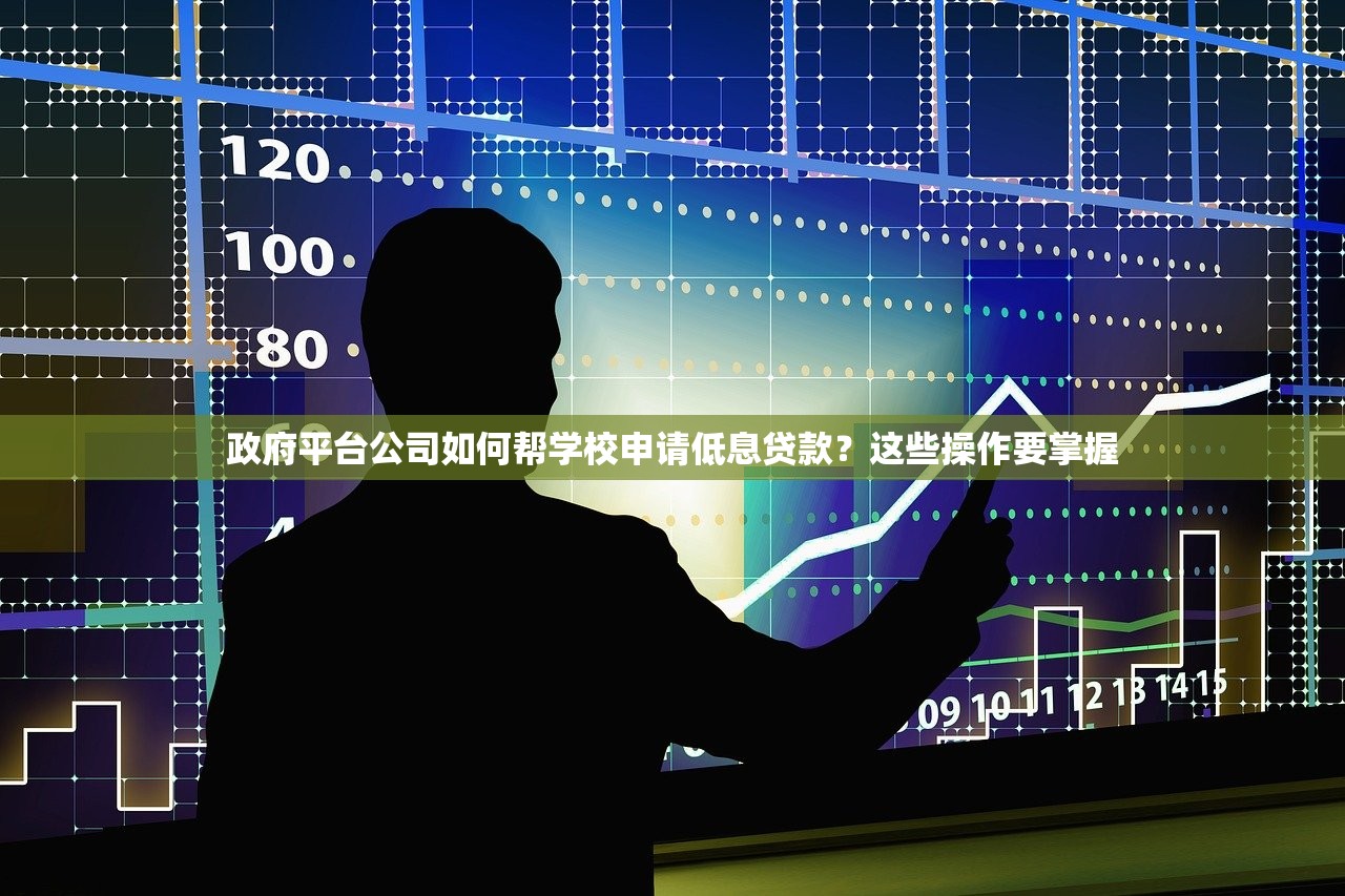 政府平台公司如何帮学校申请低息贷款？这些操作要掌握