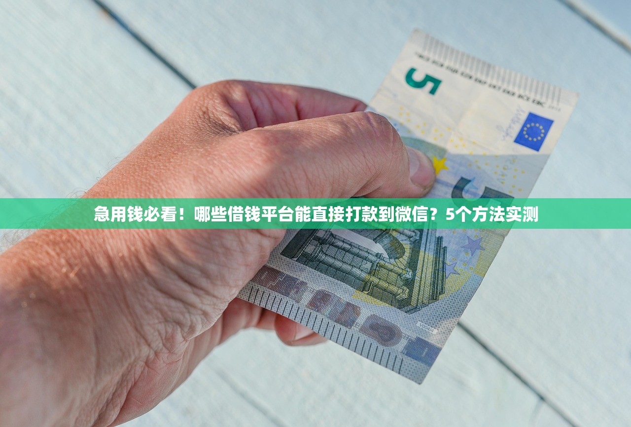 急用钱必看！哪些借钱平台能直接打款到微信？5个方法实测