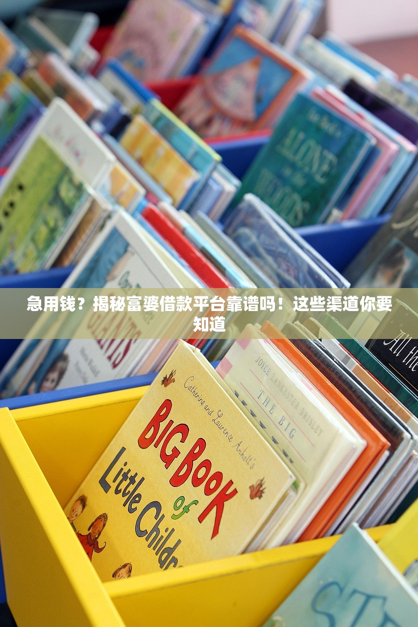急用钱？揭秘富婆借款平台靠谱吗！这些渠道你要知道