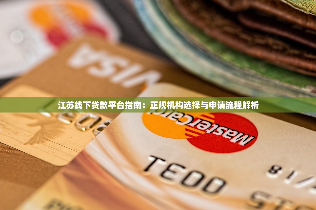 江苏线下贷款平台指南：正规机构选择与申请流程解析