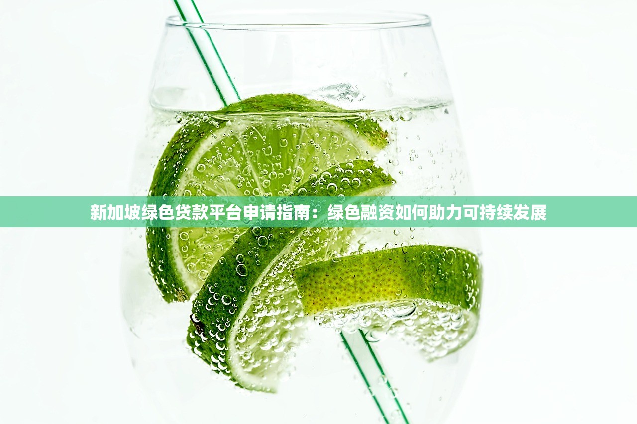 新加坡绿色贷款平台申请指南：绿色融资如何助力可持续发展