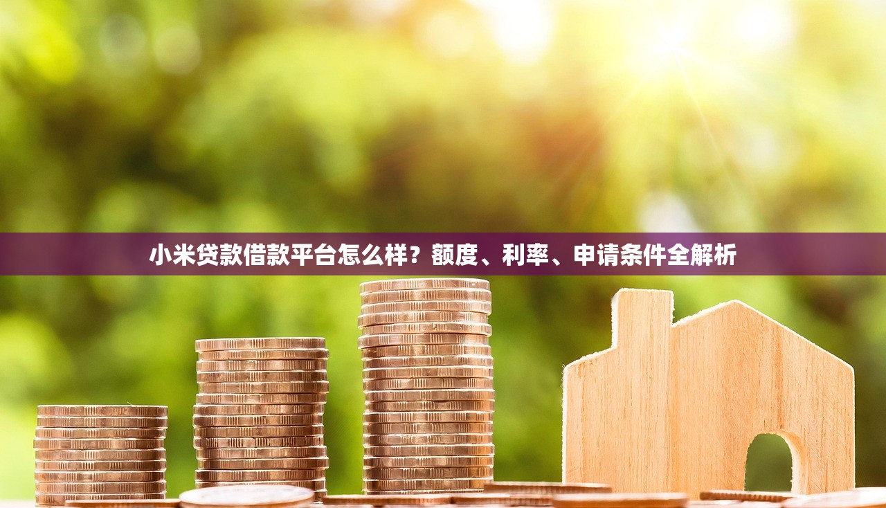 小米贷款借款平台怎么样？额度、利率、申请条件全解析