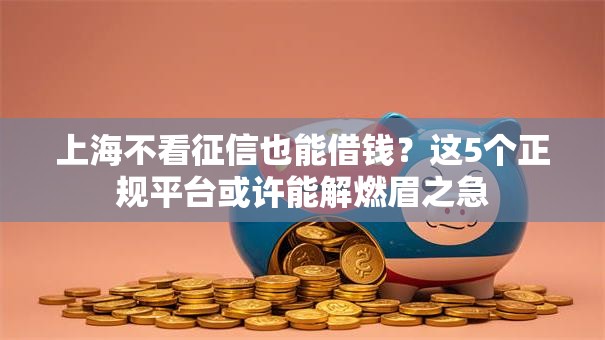 上海不看征信也能借钱？这5个正规平台或许能解燃眉之急