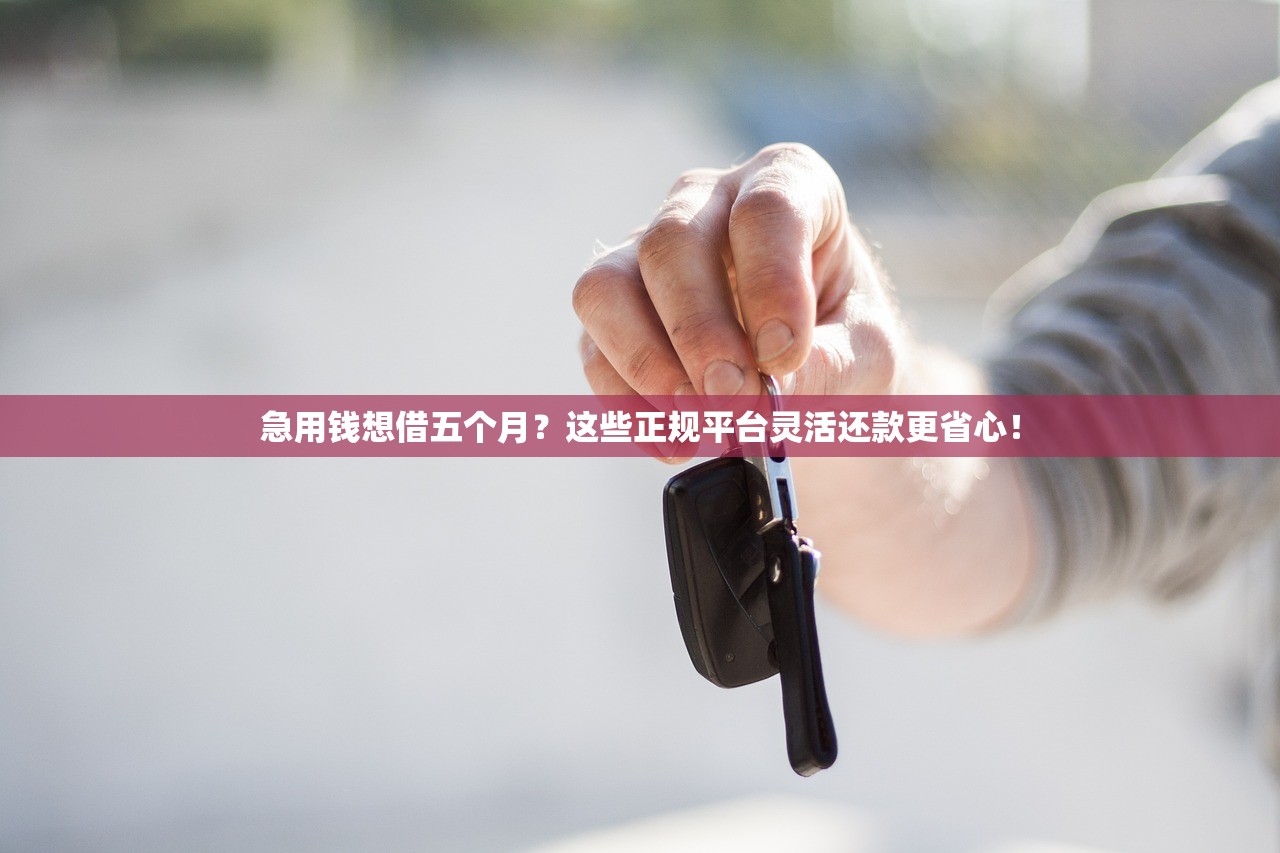 急用钱想借五个月？这些正规平台灵活还款更省心！