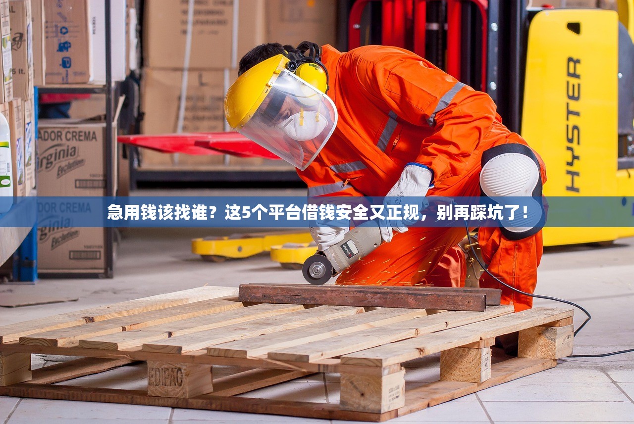 急用钱该找谁？这5个平台借钱安全又正规，别再踩坑了！