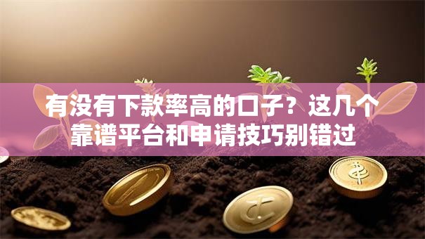 有没有下款率高的口子？这几个靠谱平台和申请技巧别错过