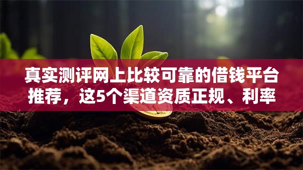真实测评网上比较可靠的借钱平台推荐，这5个渠道资质正规、利率透明！