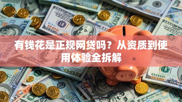 有钱花是正规网贷吗？从资质到使用体验全拆解