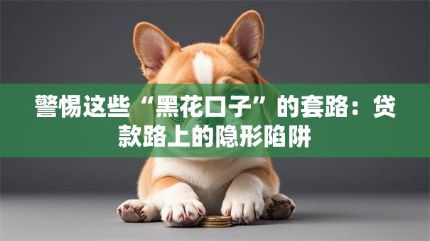 警惕这些“黑花口子”的套路:贷款路上的隐形陷阱 警惕这些“黑花口子”的套路:贷款路上的隐形陷阱