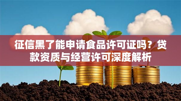 征信黑了能申请食品许可证吗？贷款资质与经营许可深度解析