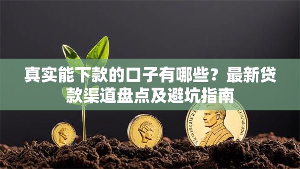 真实能下款的口子有哪些？最新贷款渠道盘点及避坑指南