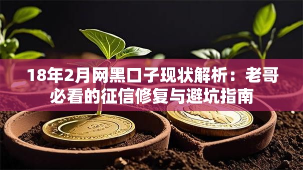 18年2月网黑口子现状解析:老哥必看的征信修复与避坑指南 18年2月网黑口子现状解析:老哥必看的征信修复与避坑指南