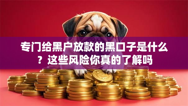 专门给黑户放款的黑口子是什么?这些风险你真的了解吗 专门给黑户放款的黑口子是什么?这些风险你真的了解吗