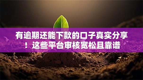 有逾期还能下款的口子真实分享！这些平台审核宽松且靠谱