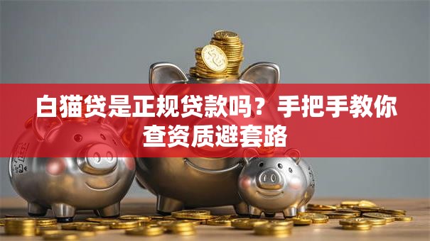 白猫贷是正规贷款吗？手把手教你查资质避套路