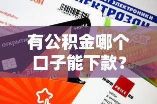 有公积金哪个口子能下款？这5个渠道审批快额度高！